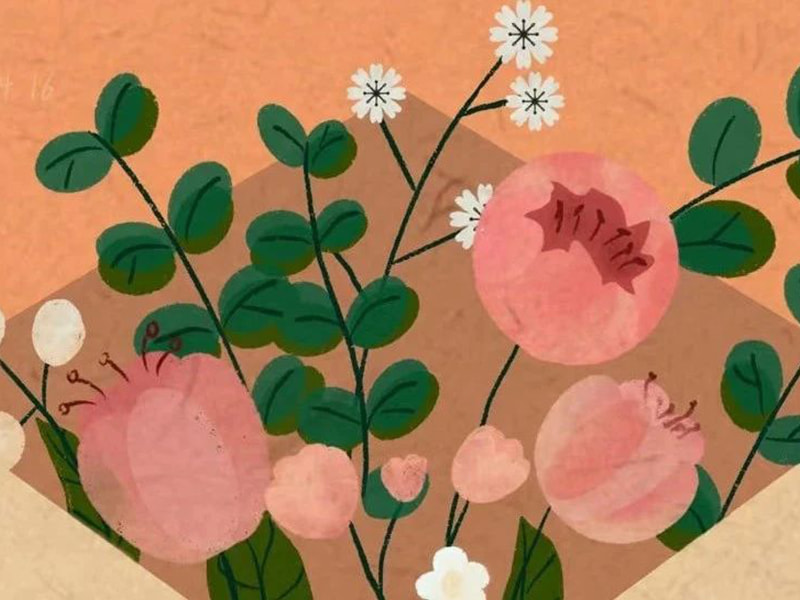 Ett brev till Jufengs familj