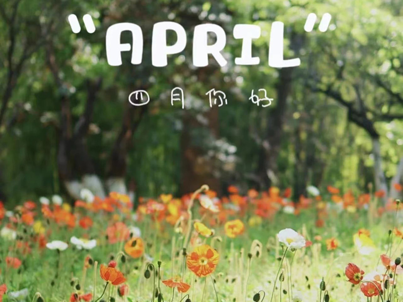 Födelsedagsönskningar丨Grattis på födelsedagen till de som är födda i april